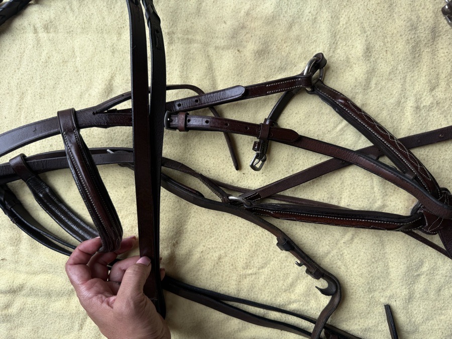 Fancy stitch figure 8 bridle and reins