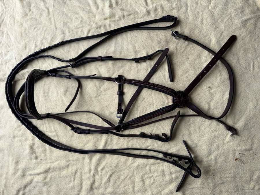 Fancy stitch figure 8 bridle and reins