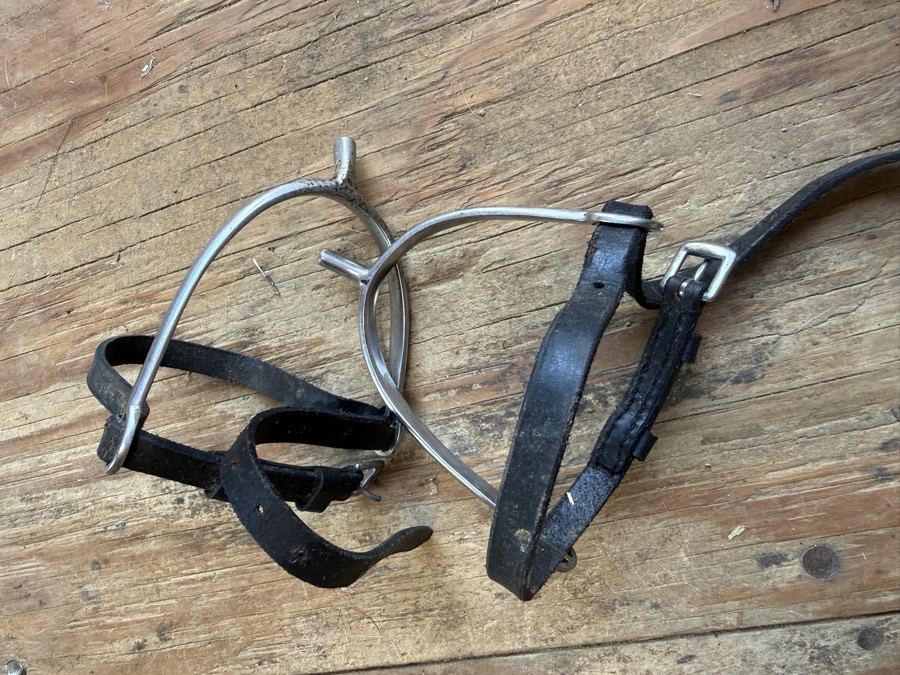 spurs and straps
