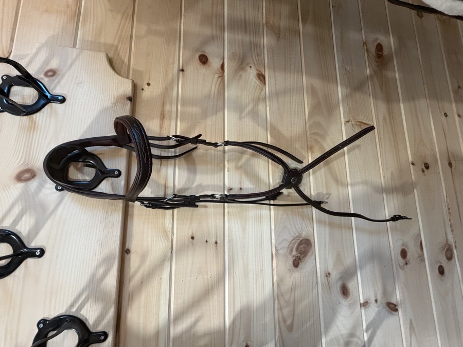 ANTARES Bridle Cob