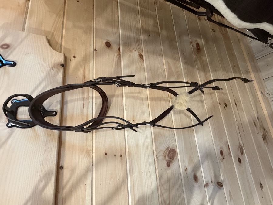 ANTARES Bridle Cob