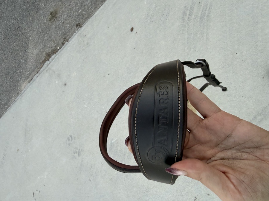 ANTARES Bridle Cob