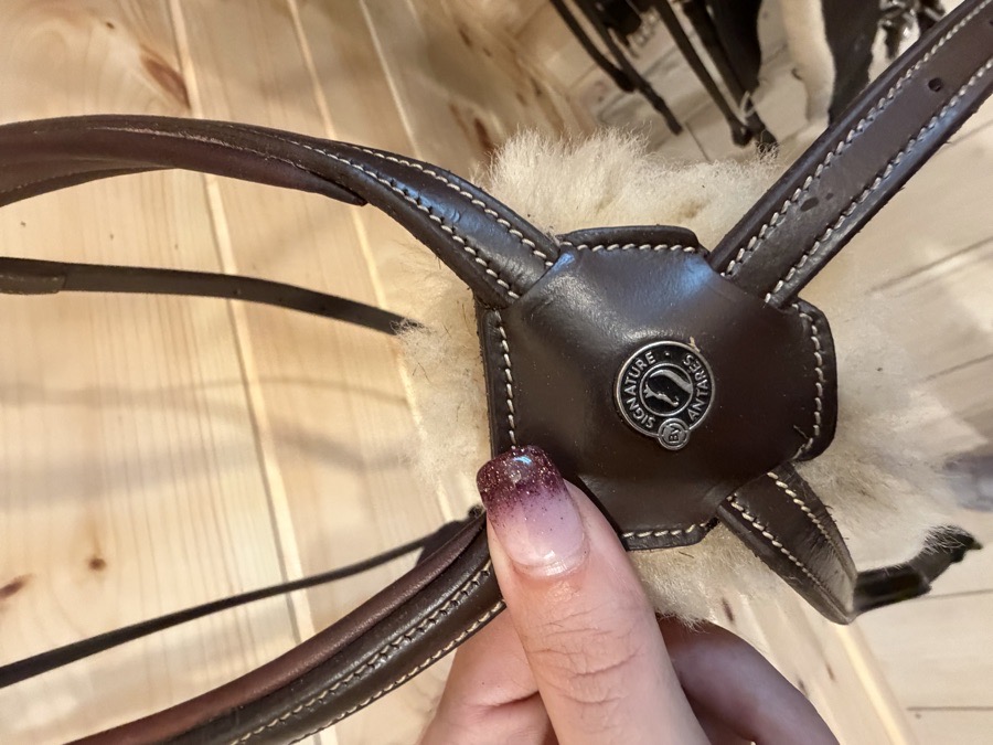 ANTARES Bridle Cob