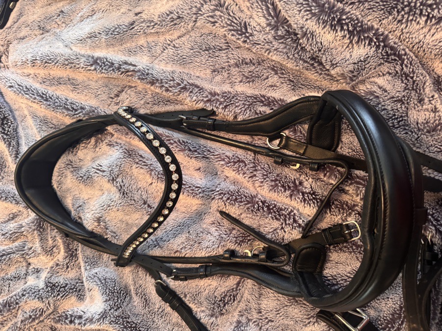 TOTA Bridle Horse