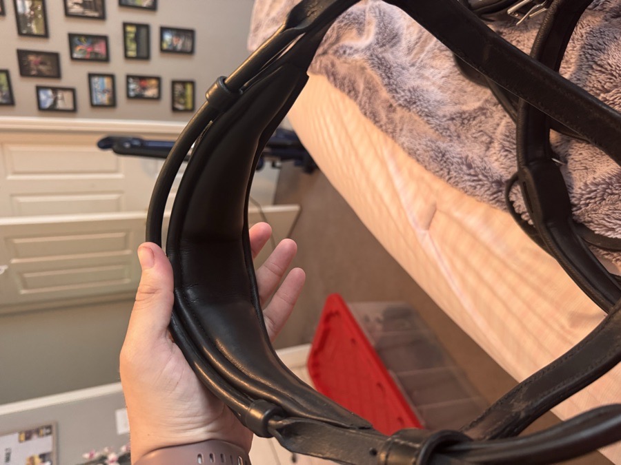 TOTA Bridle Horse