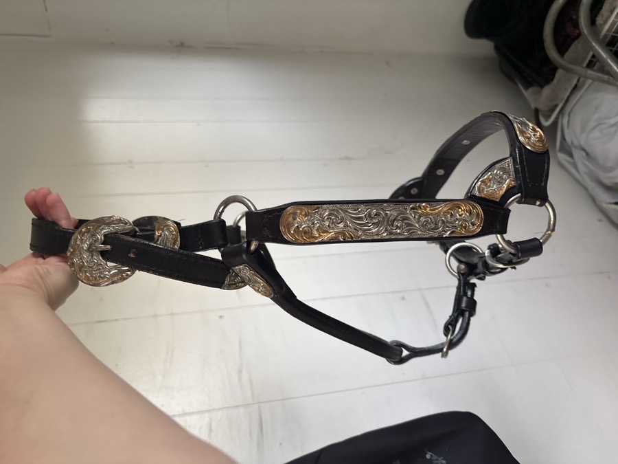Show halter