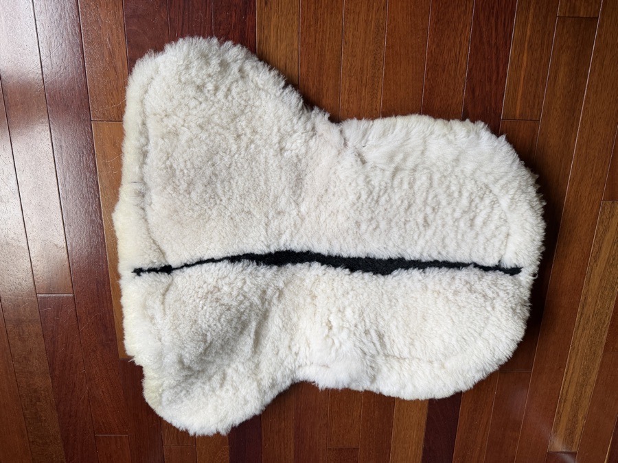 LEMIEUX Half Pad | 2022