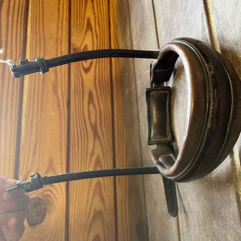 PS of Sweden noseband