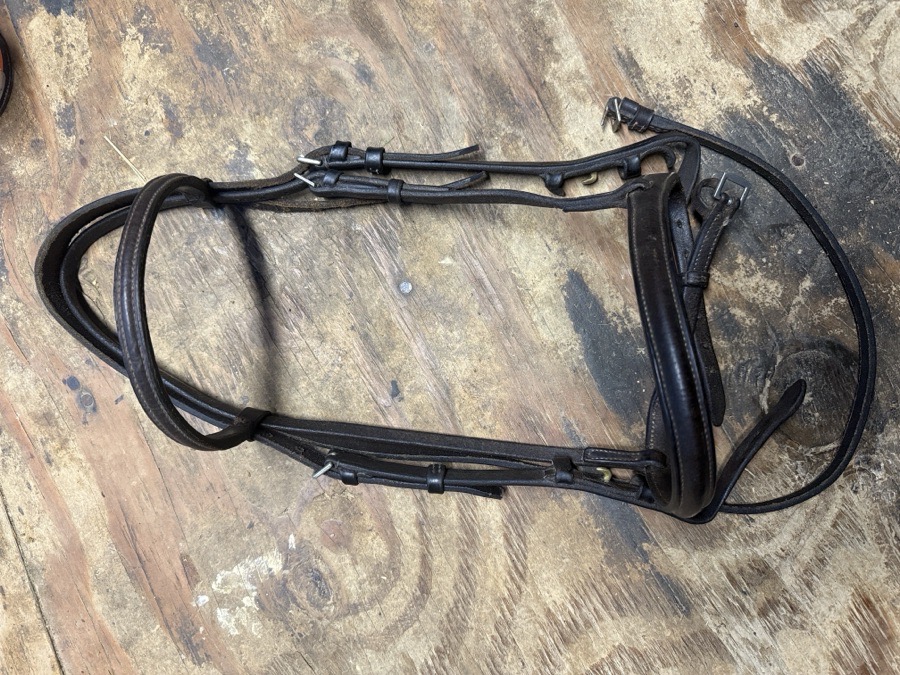 Brown pony bridle