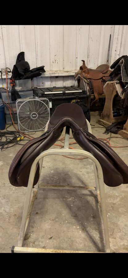 DOVER CIRCUIT | 16.5" | 4.5" Tree Size