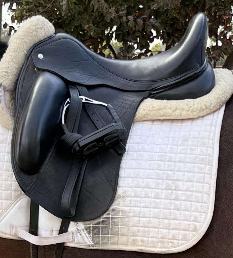 CUSTOM SADDLERY | 18" | 6" Tree Size | 2015