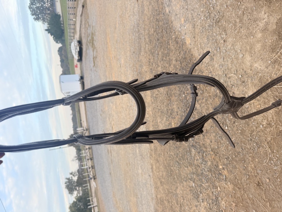 Amore figure eight grackle anatomical cob bridle