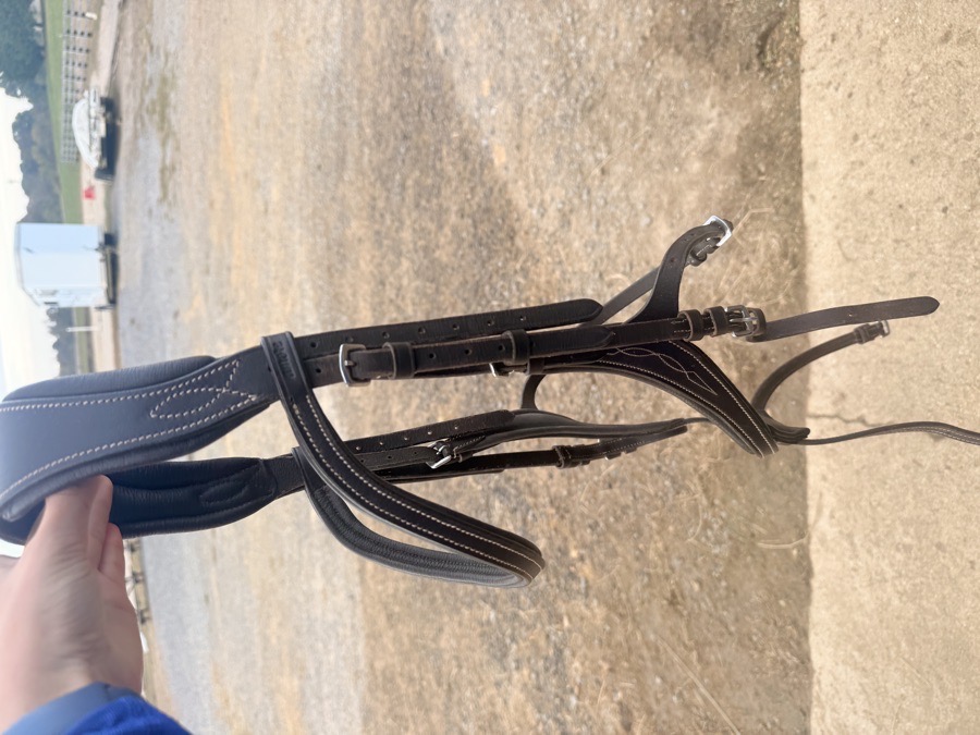 Amore figure eight grackle anatomical cob bridle