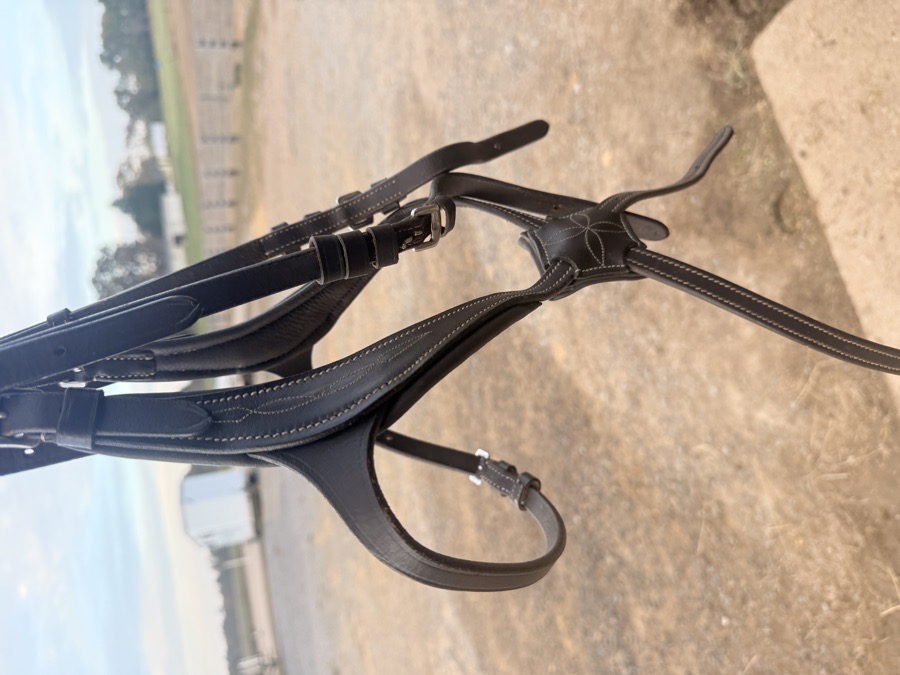 Amore figure eight grackle anatomical cob bridle