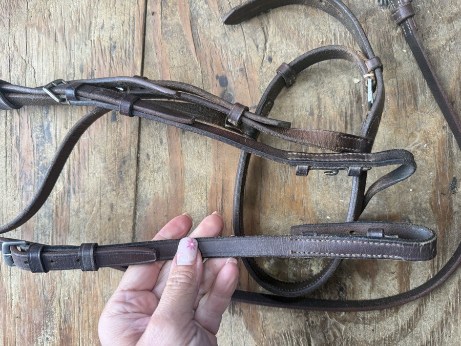 cob fancy stitch schooling bridle