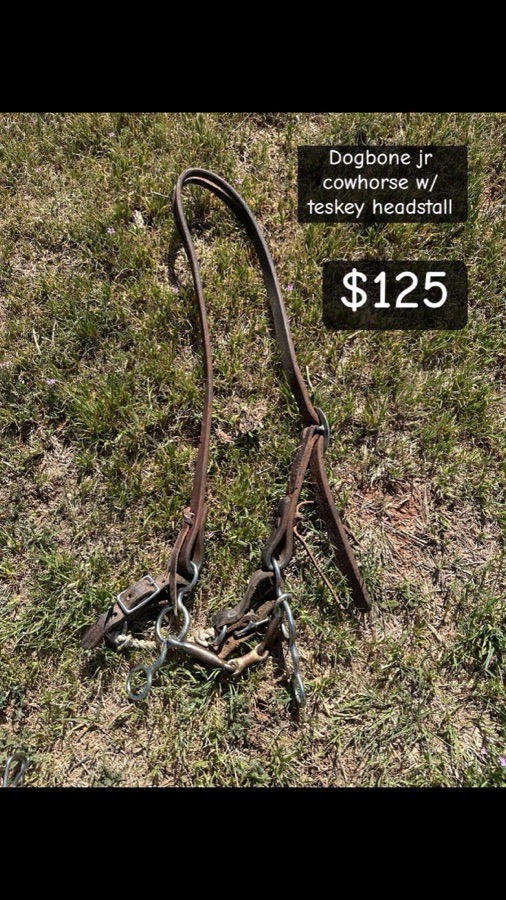 Dogbone Jr cowhorse with headstall
