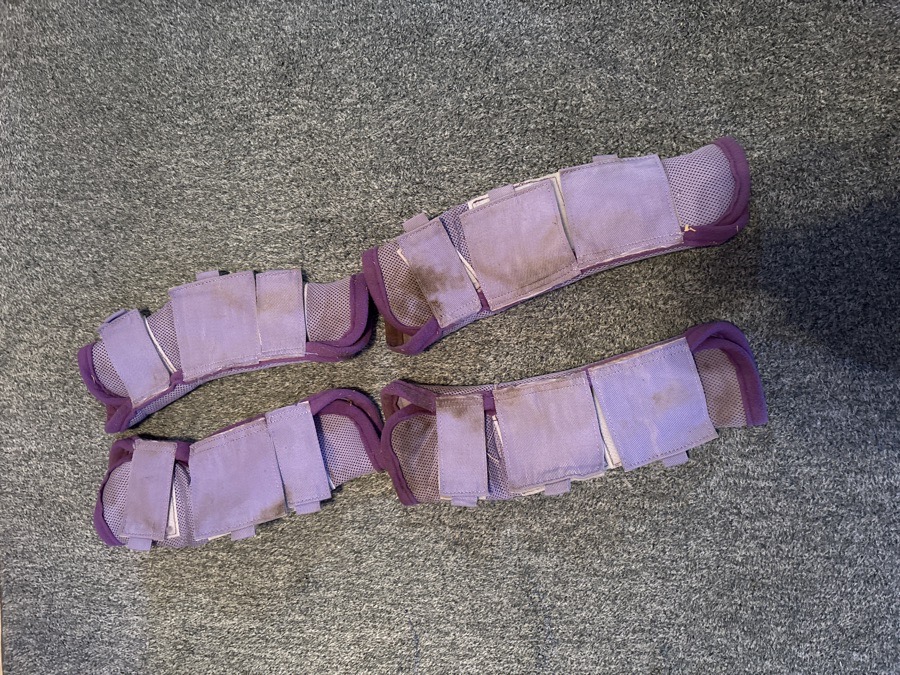 Cob fly boots for sale