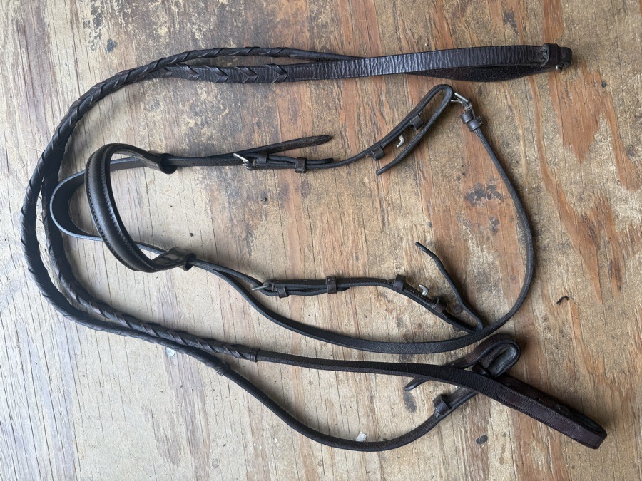 pony bridle and reins