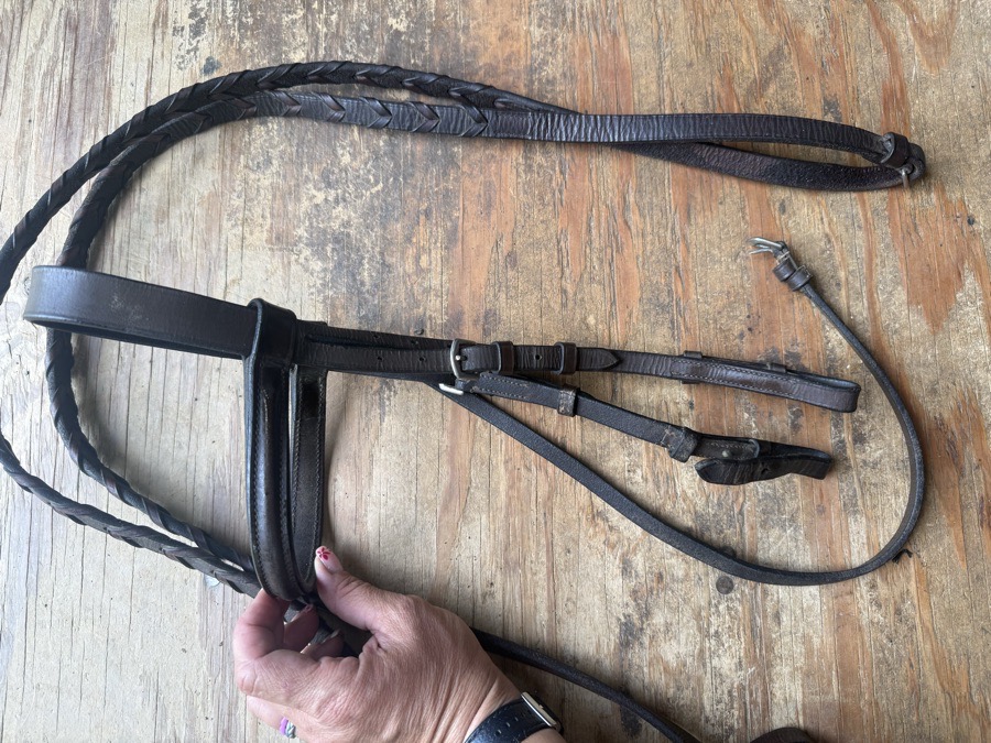 pony bridle and reins