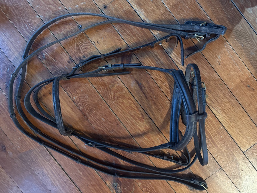 Full sized bridle and reins with brass hardware