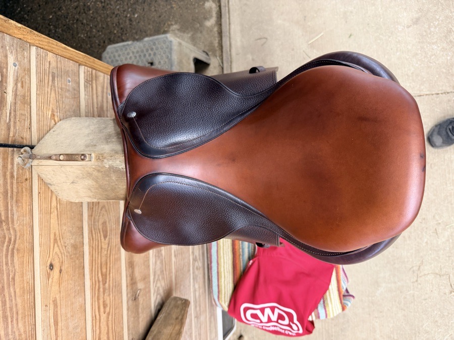 CWD SE03 | 16.5" | 5" Tree Size | 2014
