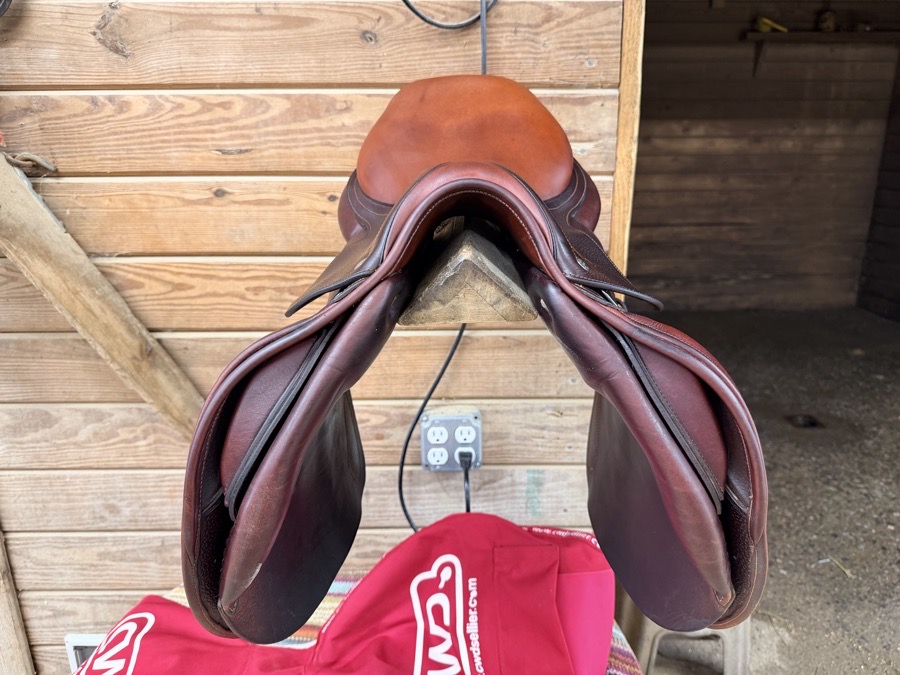 CWD SE03 | 16.5" | 5" Tree Size | 2014