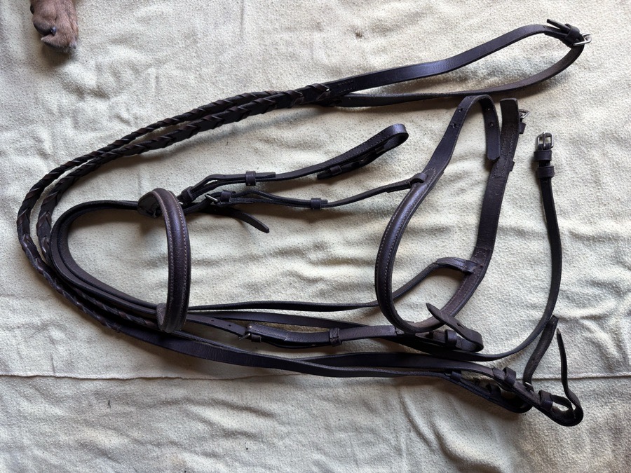 full sized bridle and reins