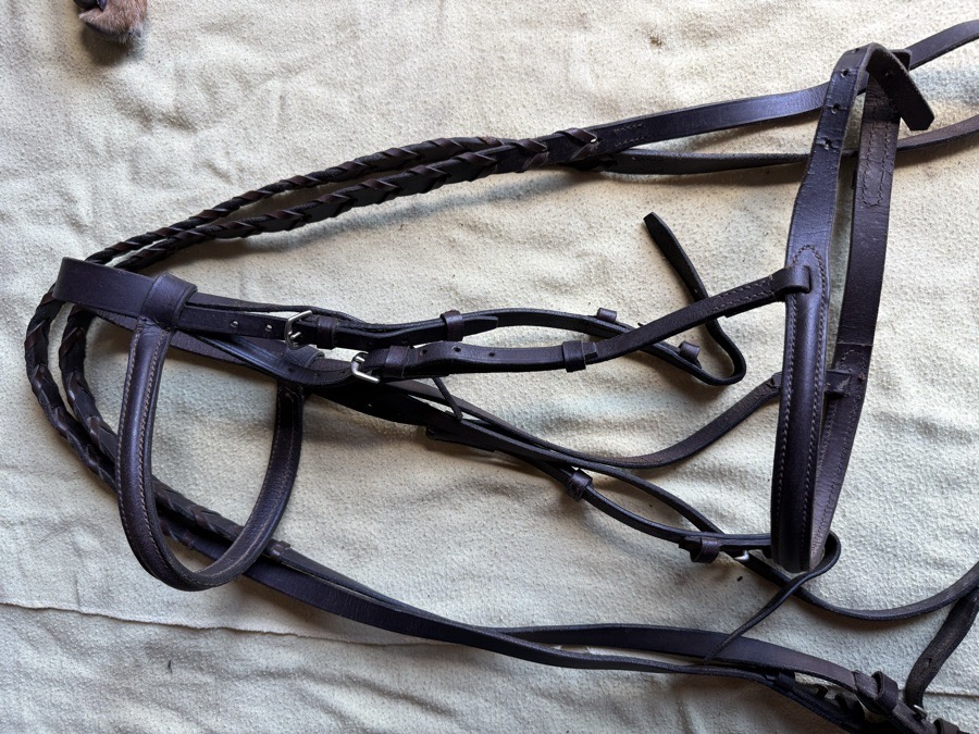 full sized bridle and reins