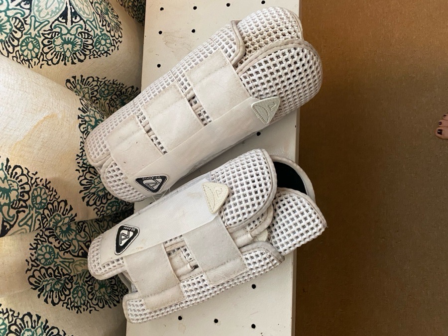 Size L front/size XL hind Trizone boots 