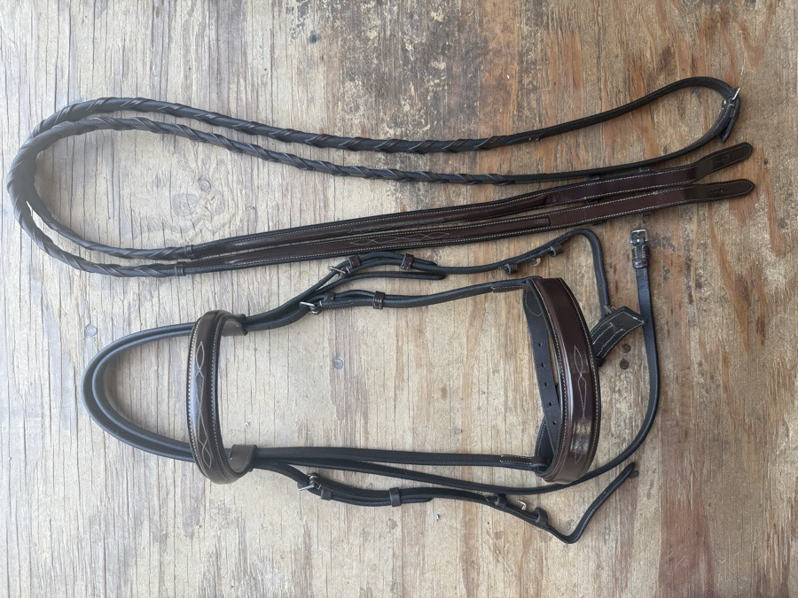 Cob sized Black Oak Spruce bridle