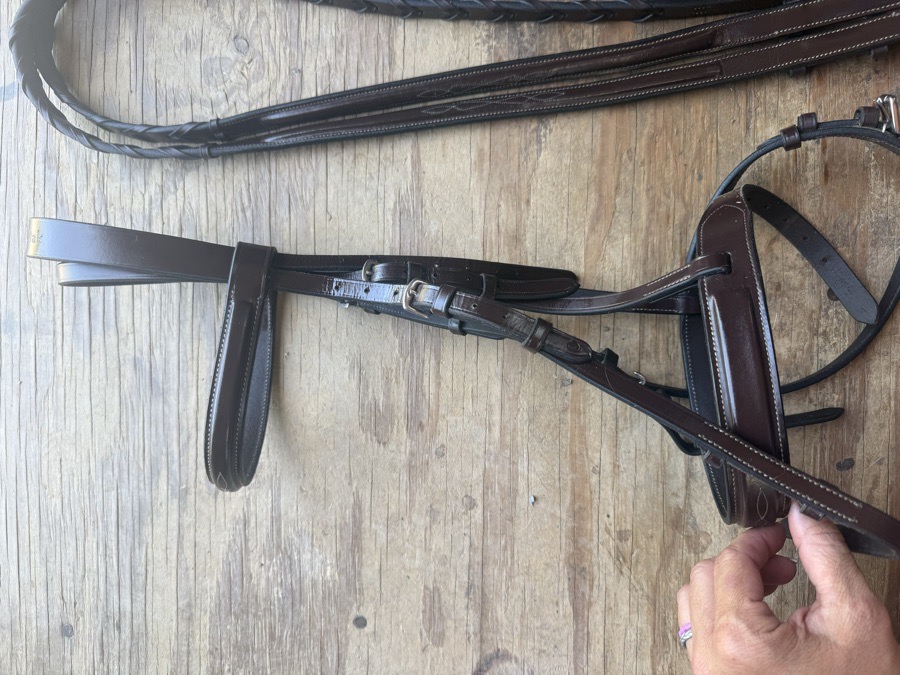 Cob sized Black Oak Spruce bridle