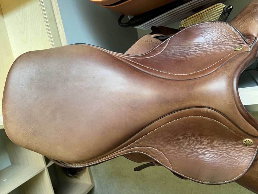 PESSOA | 16.5" | 5" Tree Size