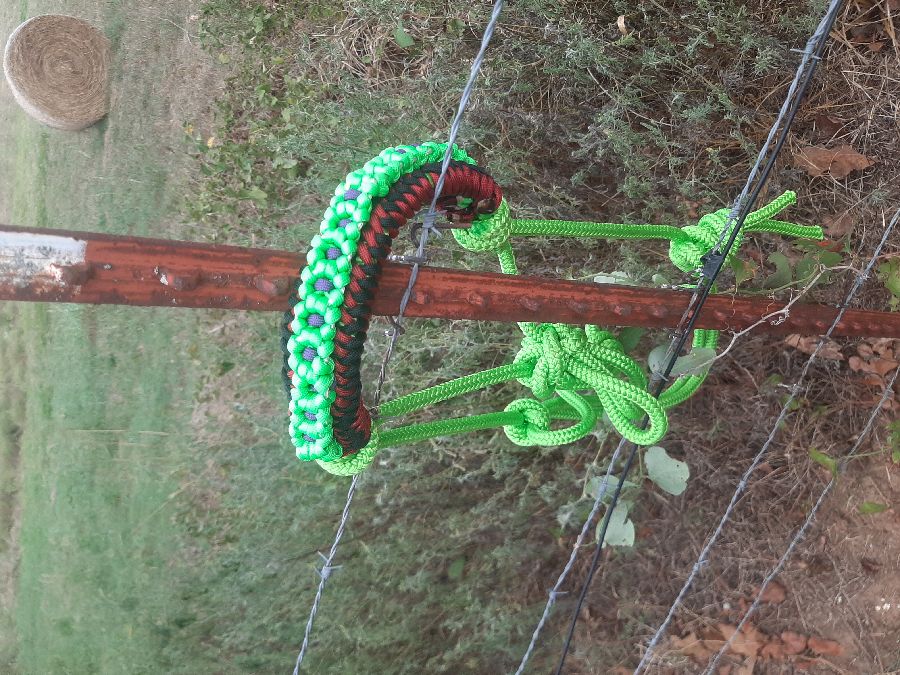 OTHER Halter/Rope Horse