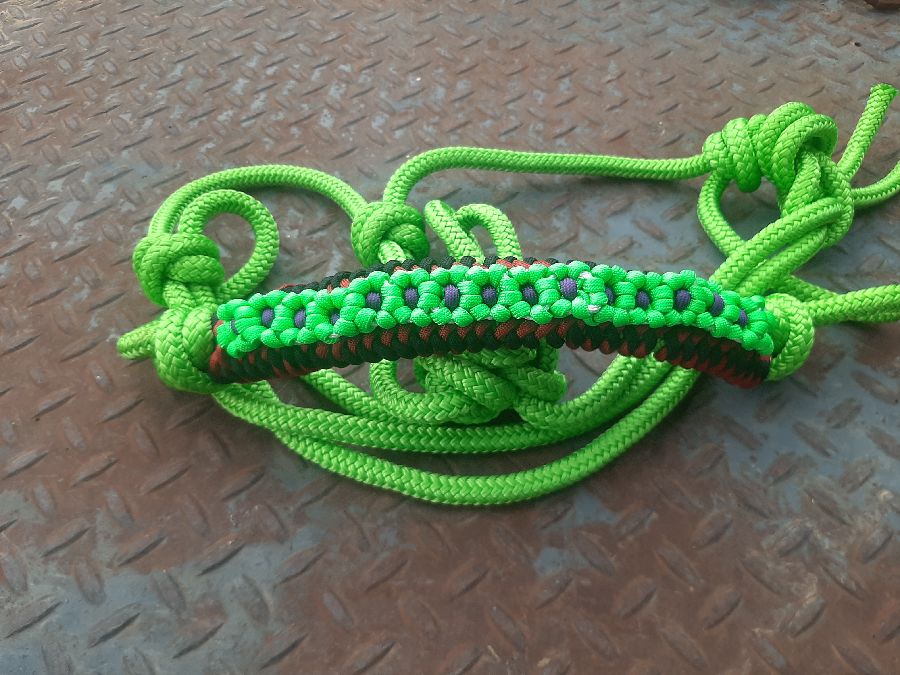 OTHER Halter/Rope Horse