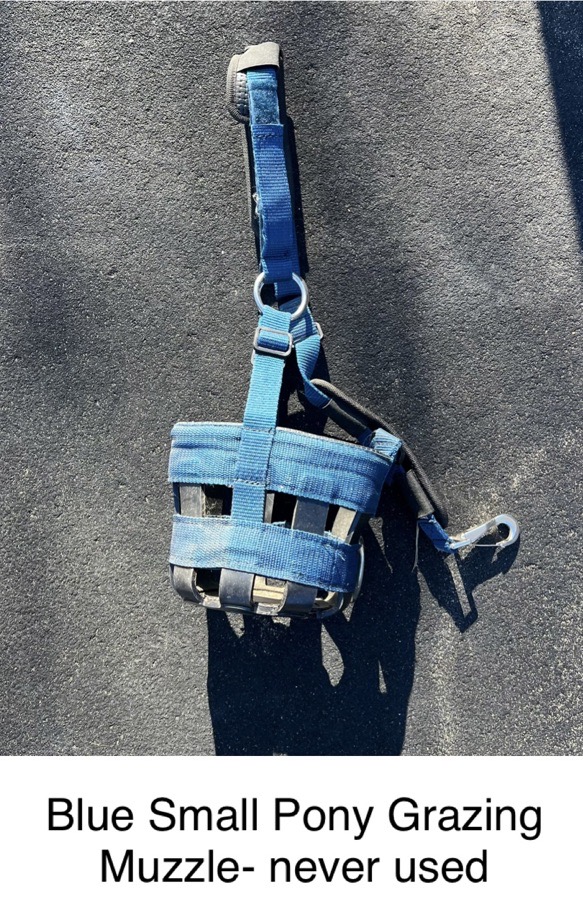 Small Pony Grazing Muzzle