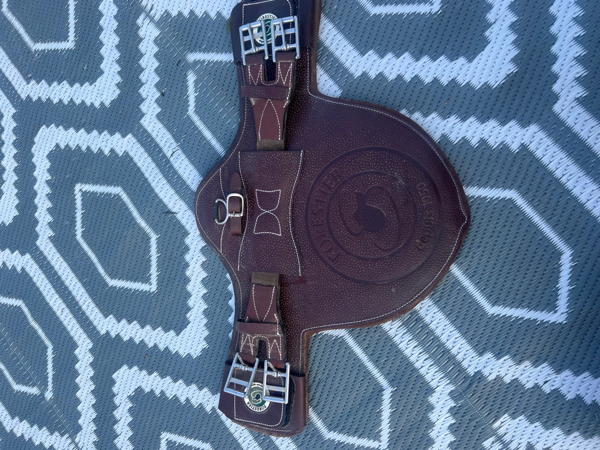 Mono flap Forestier jump girth