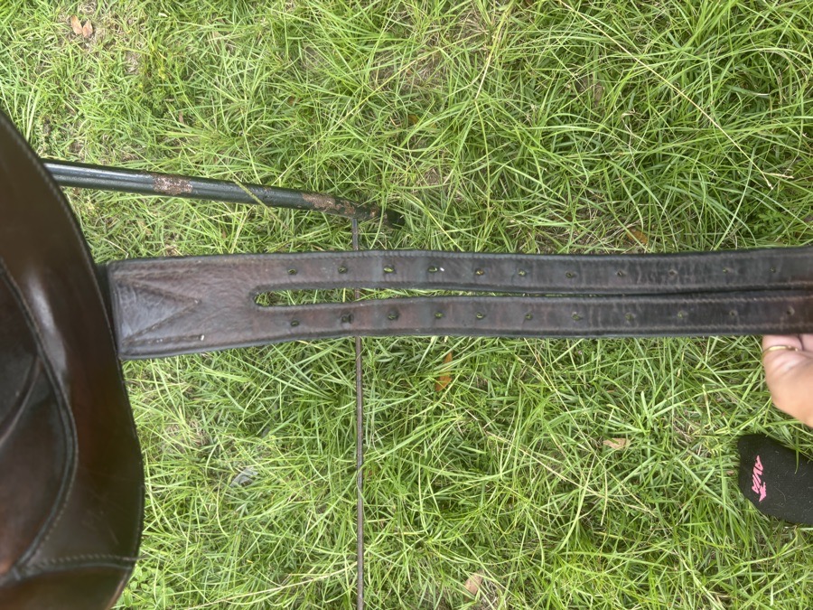 M Toulouse eventing saddle with genesis tree