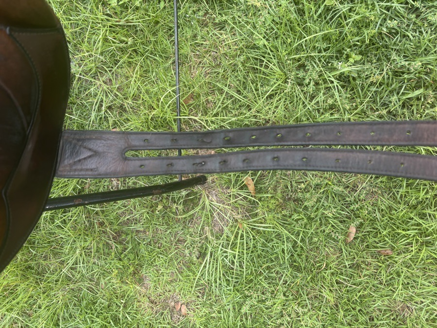 M Toulouse eventing saddle with genesis tree