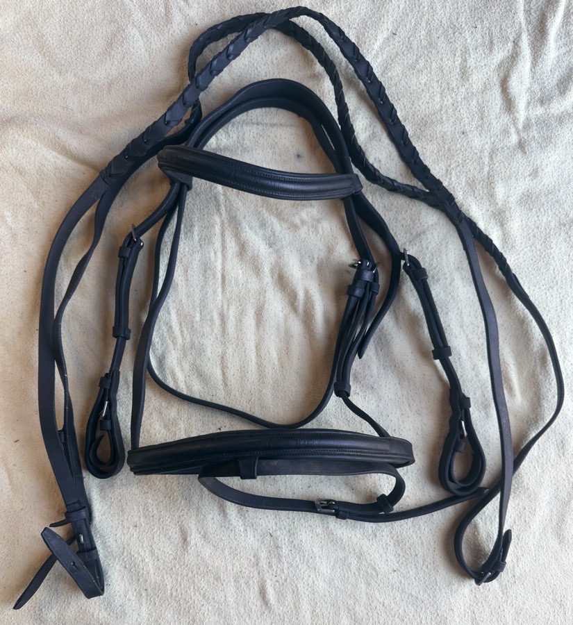 DAVINCI Cob Flash Bridle