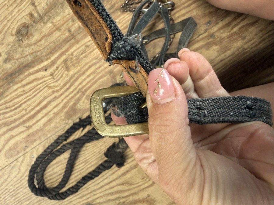 WALSH Halter and leadrope