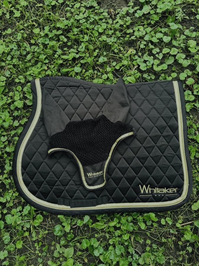 Saddle Pad & Ear Bonnet Whitaker 🖤💛