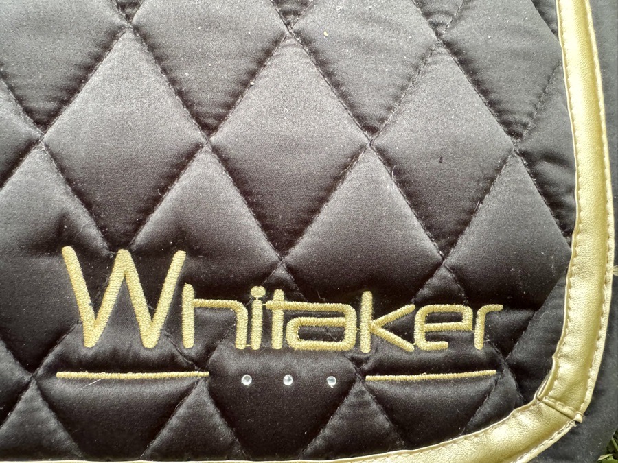 Saddle Pad & Ear Bonnet Whitaker 🖤💛