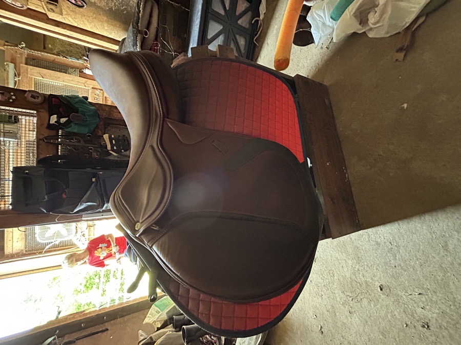 Royal Heritage Merida jump Saddle 