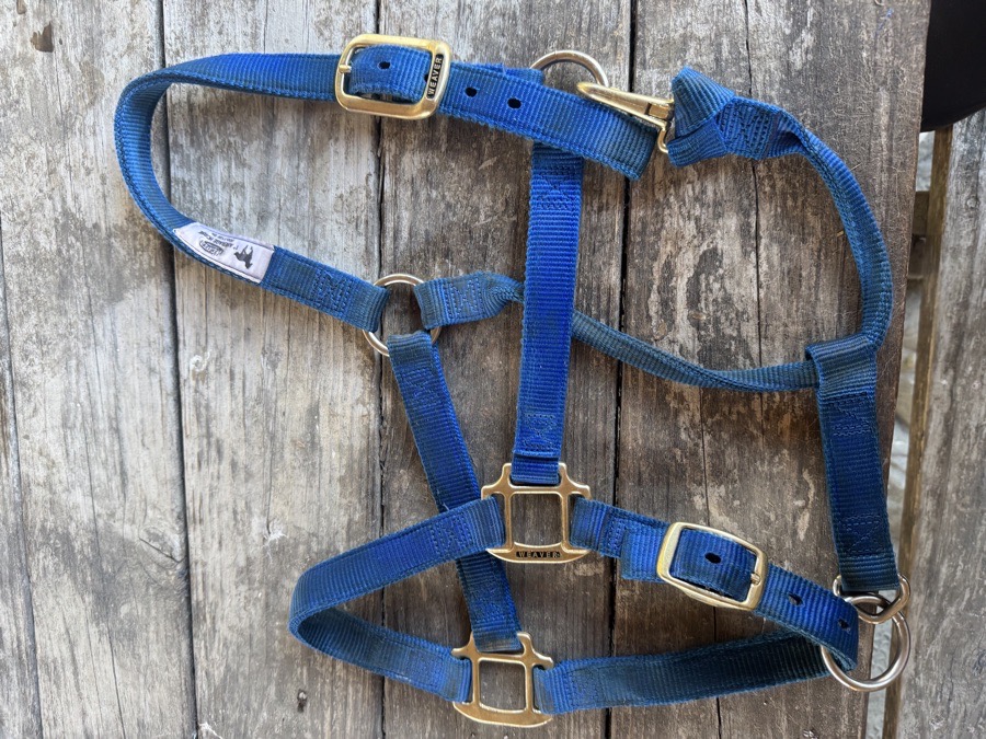 Royal Blue Halter + Lead Line