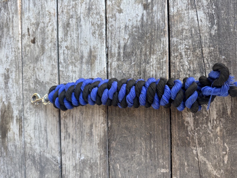 Royal Blue Halter + Lead Line