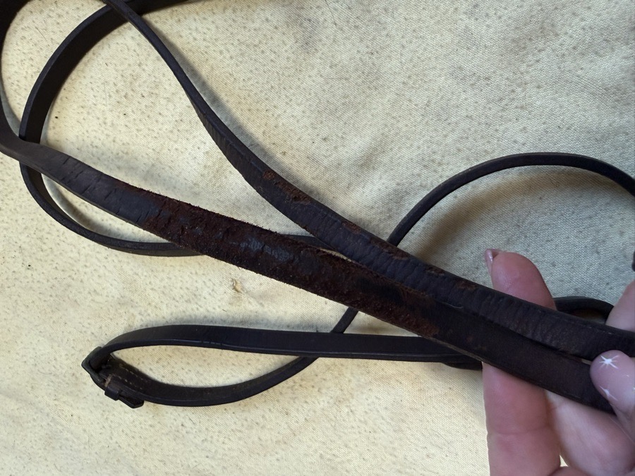 thin 55” brown curb reins