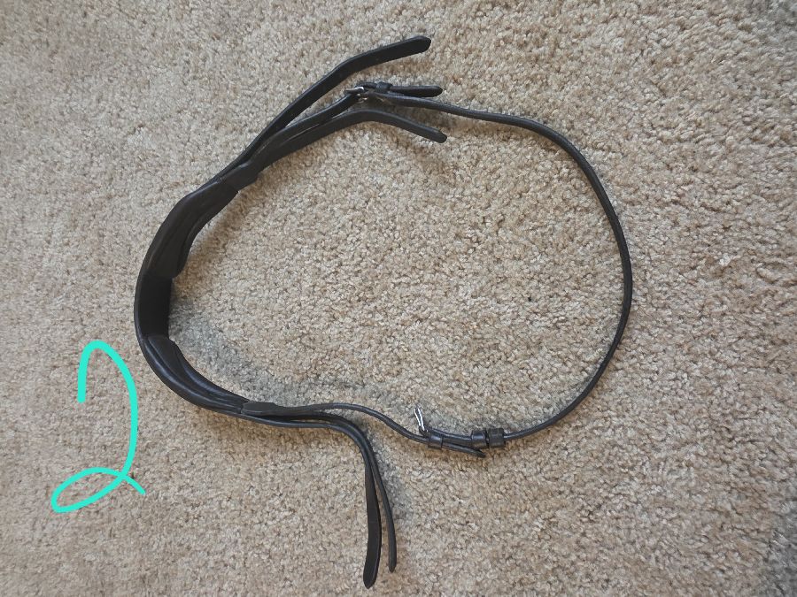 OTHER Bridle Horse