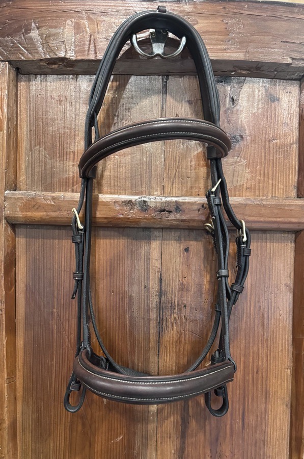 HARWICH Bridle Horse
