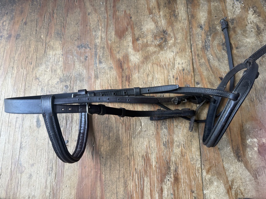 brown pony sized schooling bridle