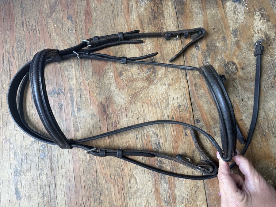 brown pony sized schooling bridle